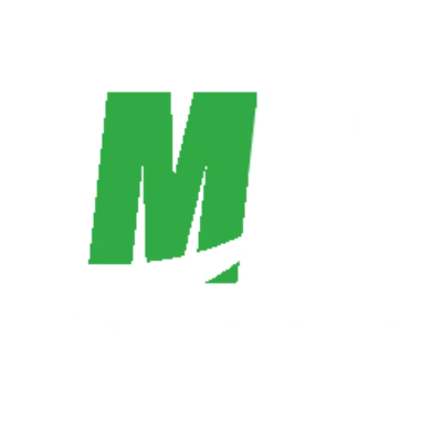 Logo Meta Services